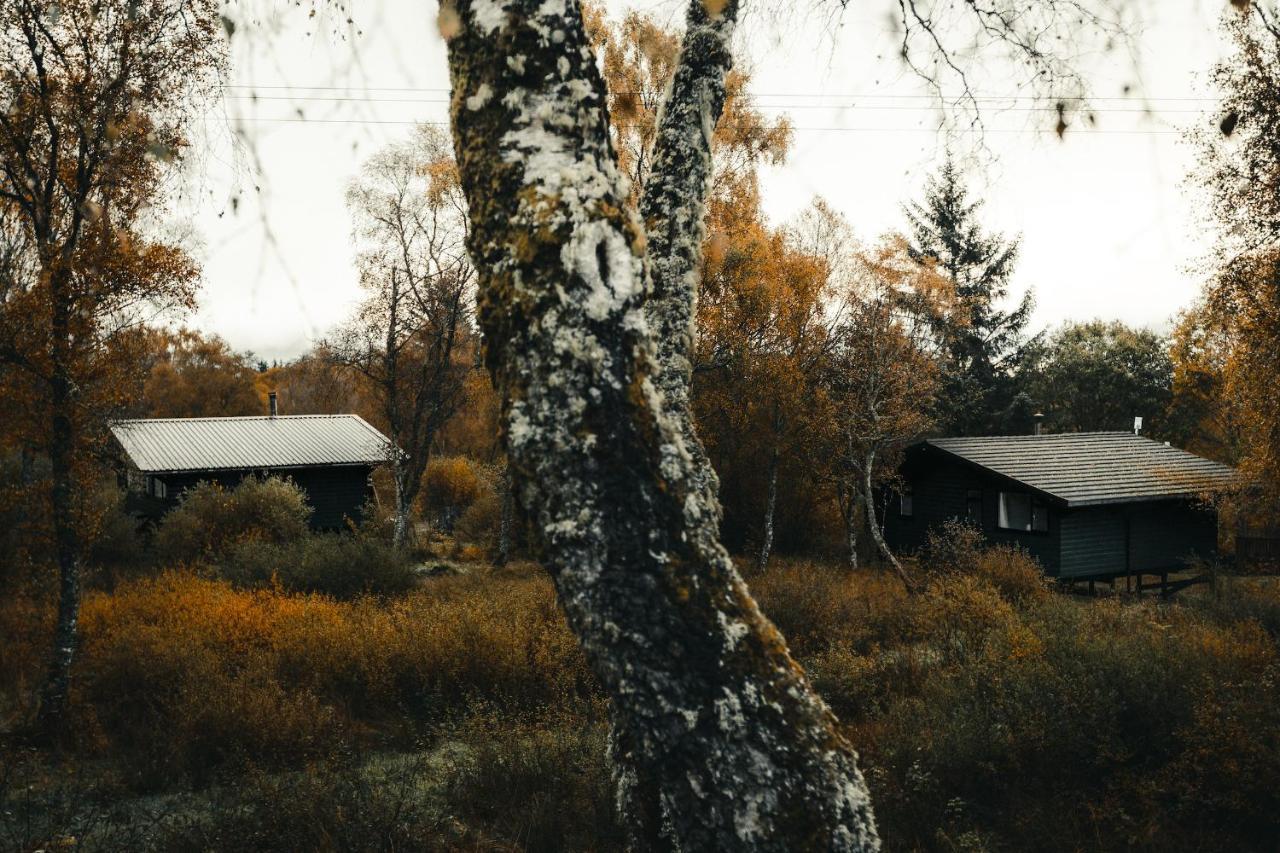 Ancarraig Lodges Drumnadrochit Εξωτερικό φωτογραφία
